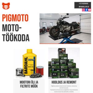 Pigmoto koduleht