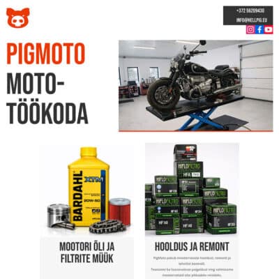 Pigmoto